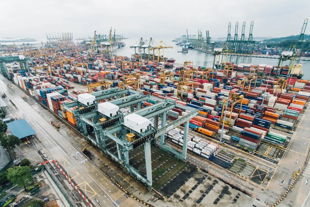Import and Export of Pharmaceutical Medicines