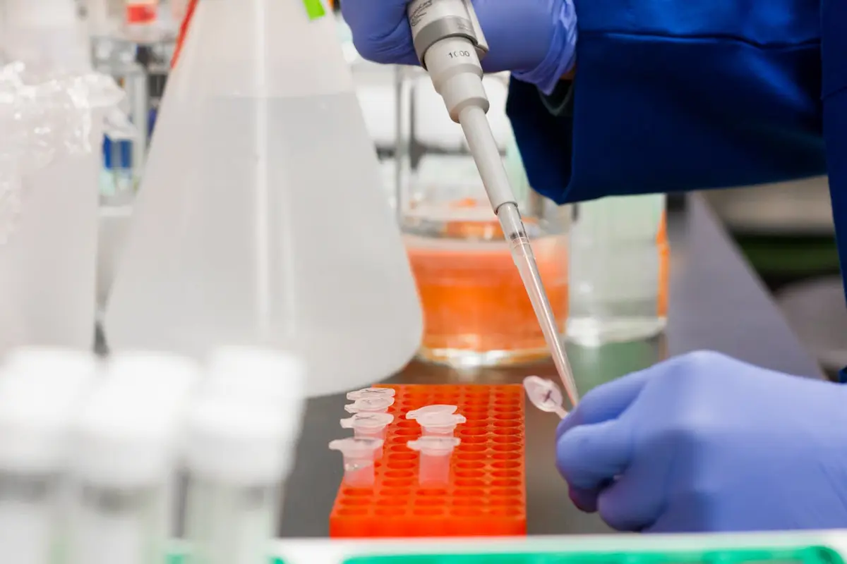 The Importance of Stability Programs in Early Clinical Drug Product Development