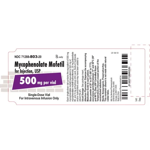 MYCOPHENOLATE MOFETIL 500MG INJECTION