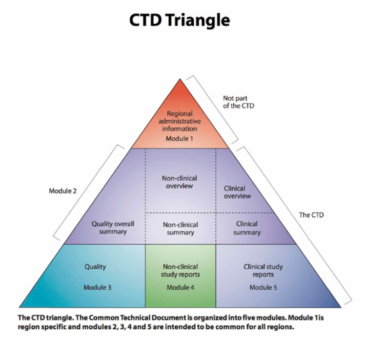 CTD-Triangle